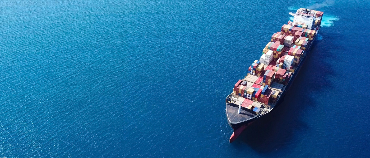 Global_Container_Import_Export_Drayage_Rail_Warehousing_Backhaul_US_Ports_Inland_SC_GA_VA_NC_Loading5_L_Hero.jpg
